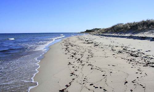 Foto: Stefan Svenaeus 2015
