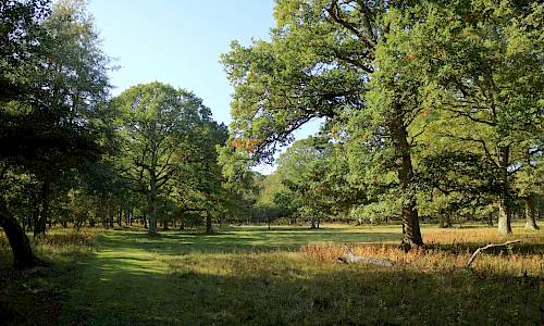 Foto: Stefan Svenaeus 2019