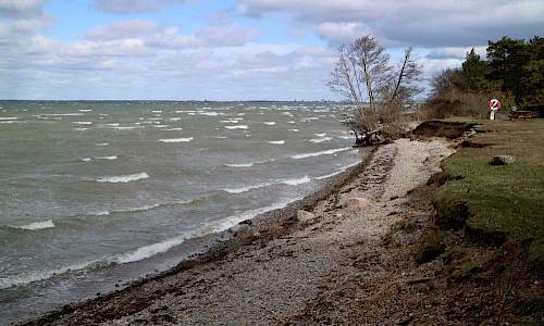 Foto: Stefan Svenaeus