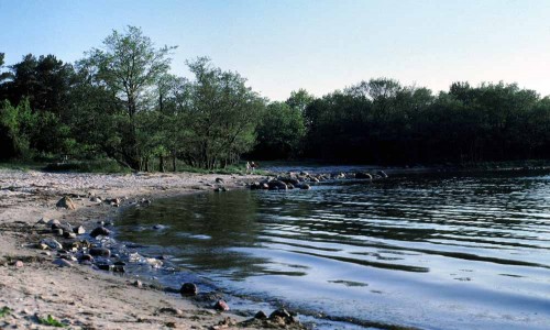 Foto: Stefan Svenaeus