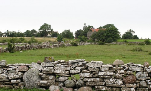 Foto Stefan Svenaeus