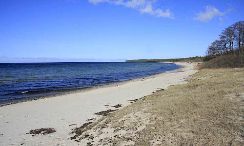 Foto: Stefan Svenaeus 2015