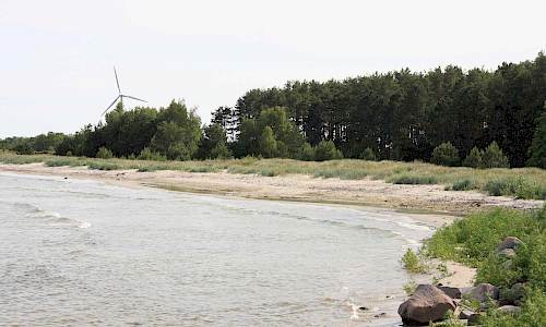 Foto: Stefan Svenaeus 2014