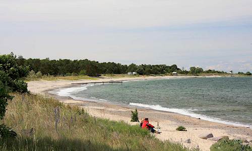 Foto: Stefan Svenaeus 2014