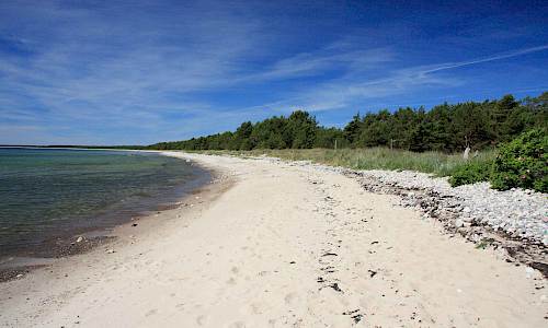 Foto: Stefan Svenaeus 2014