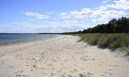 Foto: Stefan Svenaeus 2014