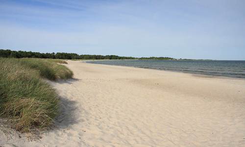 Foto: Stefan Svenaeus