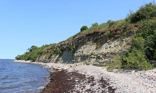 Foto: Stefan Svenaeus 2025