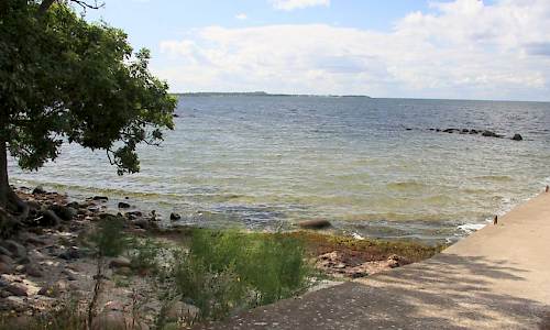 Foto: Stefan Svenaeus