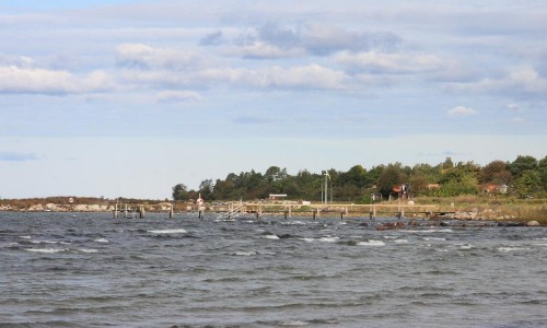 Foto: Stefan Svenaeus