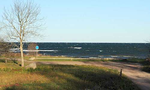 Foto: Stefan Svenaeus