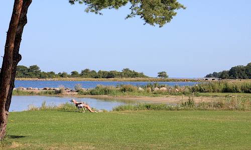 Foto: Stefan Svenaeus 2013