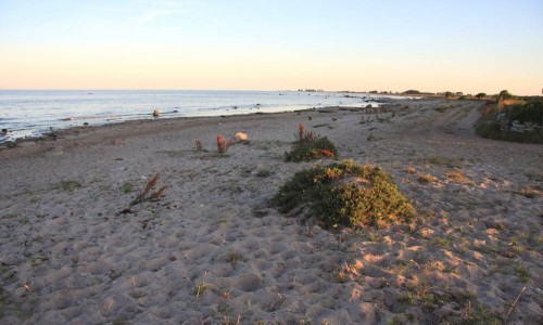 Foto: Stefan Svenaeus