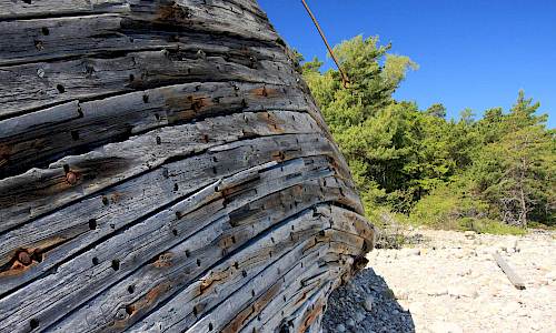 Foto: Stefan Svenaeus 2014