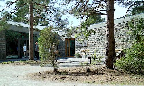 Foto: Stefan Svenaeus 2019