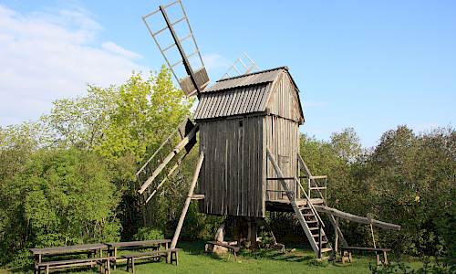 Foto: Stefan Svenaeus 2013