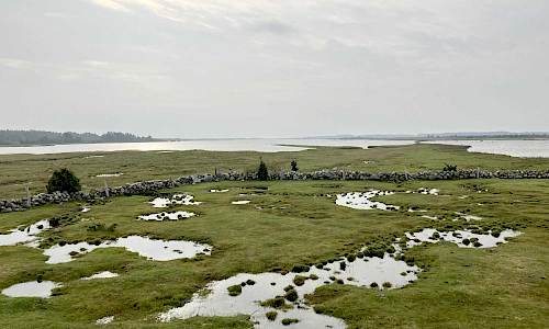 Foto: Stefan Svenaeus 2023