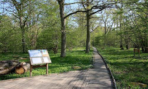 Foto: Stefan Svenaeus 2013