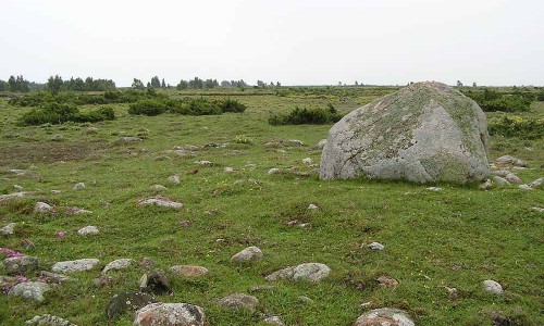 Foto: Stefan Svenaeus