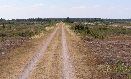 Gamla banvallen, numera cykelväg, som skär genom området Foto: Stefan Svenaeus
