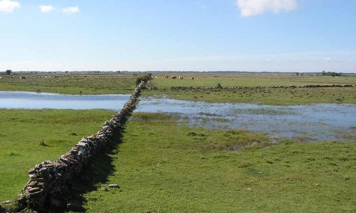 Foto: Stefan Svenaeus