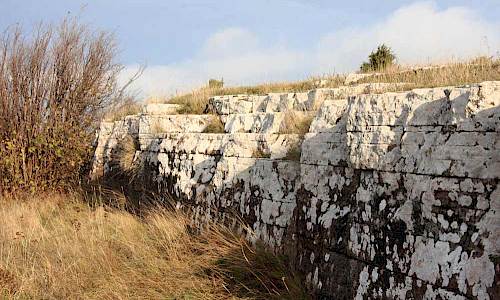 Foto: Stefan Svenaeus