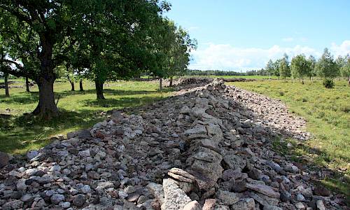 Foto: Stefan Svenaeus 2013