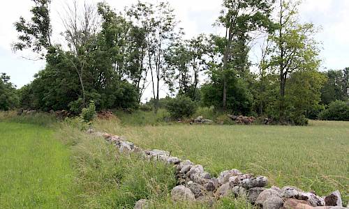 Foto: Stefan Svenaeus 2013