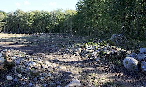 Foto: Stefan Svenaeus 2015