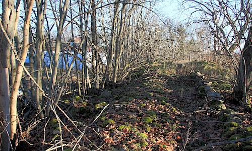 Foto: Stefan Svenaeus 2013