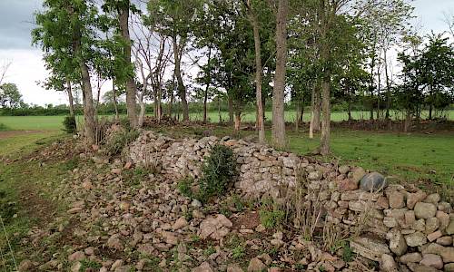 Foto: Stefan Svenaeus 2017