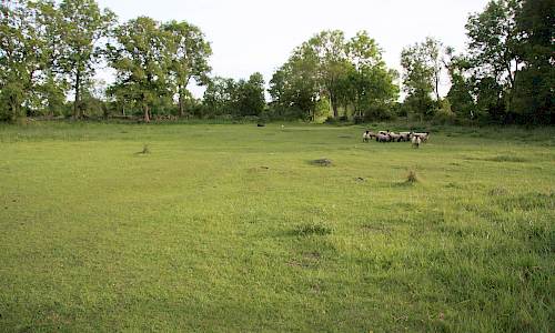 Foto: Stefan Svenaeus 2014