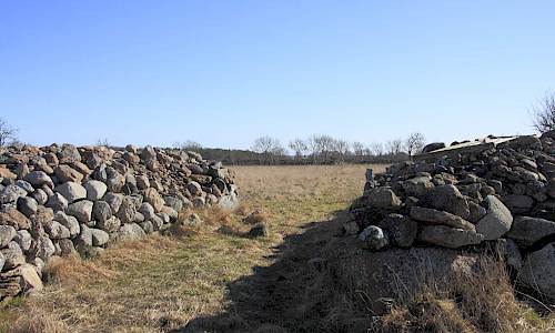 Foto: Stefan Svenaeus 2015