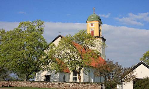 Foto: Stefan Svenaeus 2013
