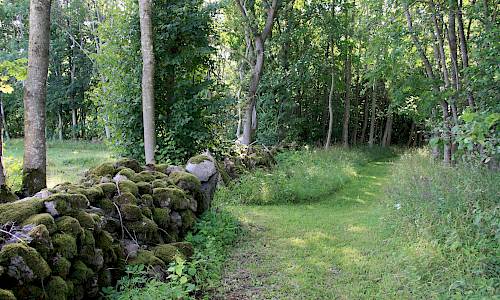 Foto: Stefan Svenaeus 2013