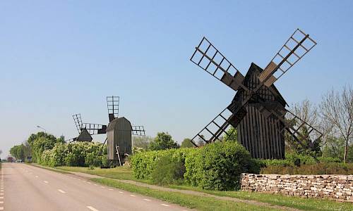 Foto: Stefan Svenaeus