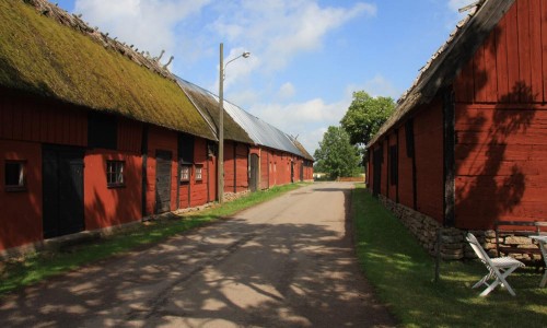 Foto: Stefan Svenaeus