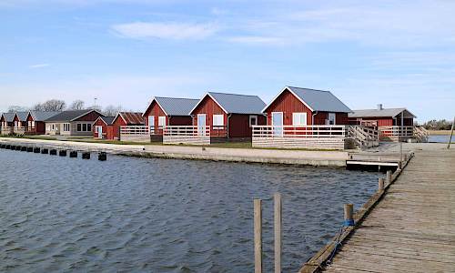 Foto: Stefan Svenaeus 2020