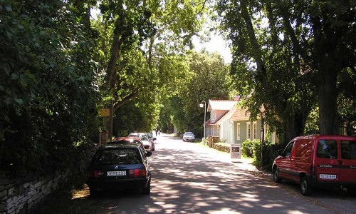 Foto: Stefan Svenaeus
