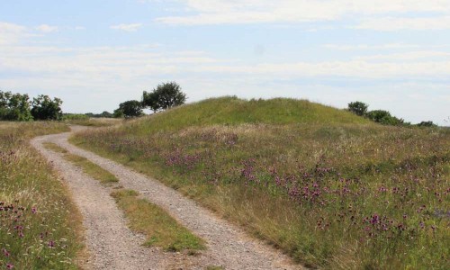 Foto: Stefan Svenaeus