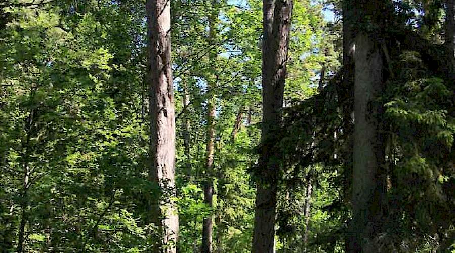 Ekopark Böda