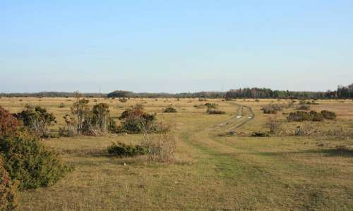 Foto: Stefan Svenaeus