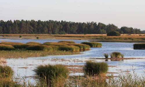 Foto: Stefan Svenaeus