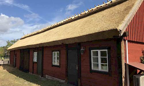 Foto: Stefan Svenaeus