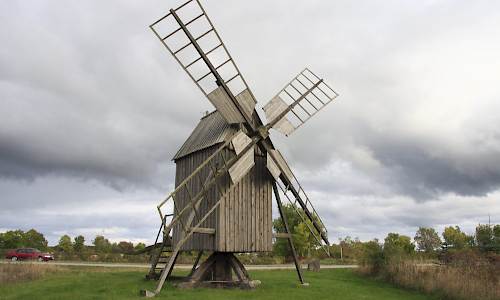 Foto: Stefan Svenaeus