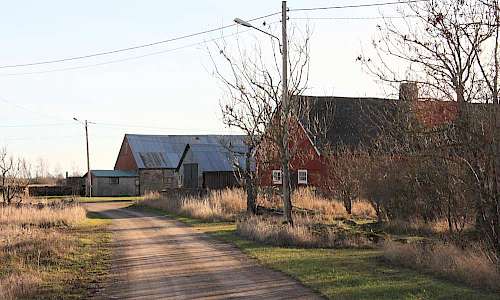 Foto: Stefan Svenaeus