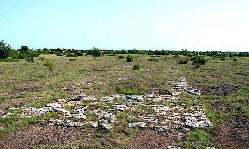 Foto: Stefan Svenaeus