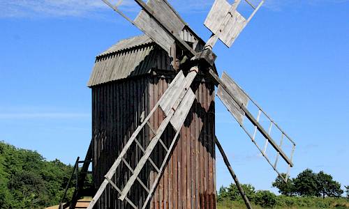 Foto: Stefan Svenaeus 2013