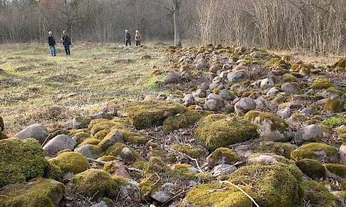 Foto: Stefan Svenaeus 2016