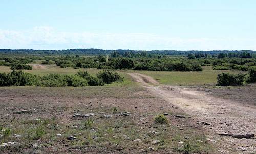 Foto: Stefan Svenaeus